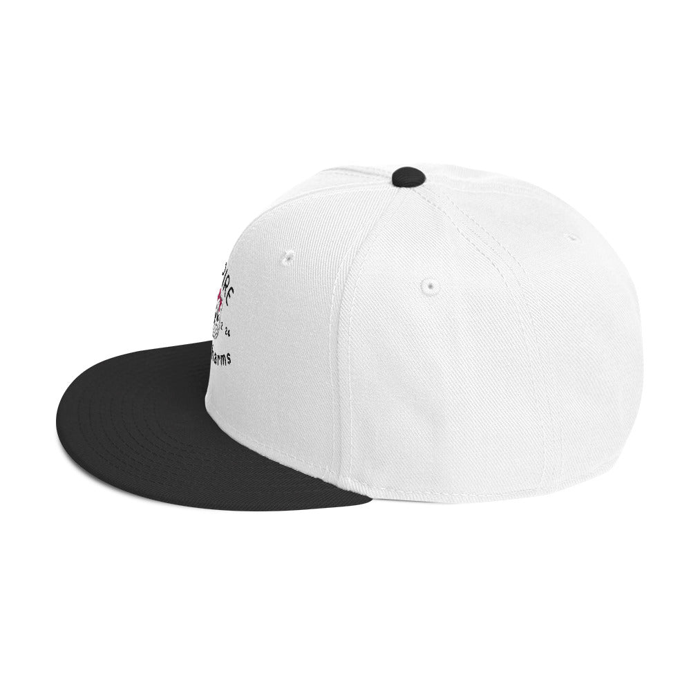 IBC Snapback Hat